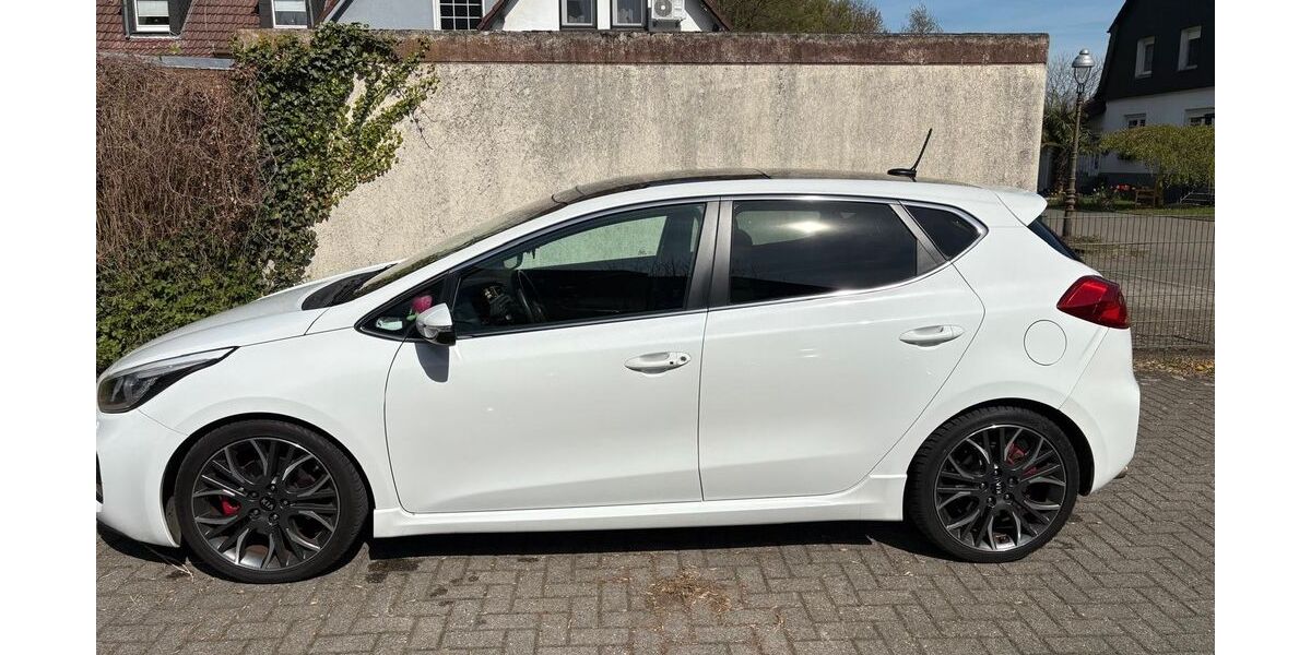 Kia ceed / Ceed 87.432 km 13.100 &euro; Gelsenkirchen 45891