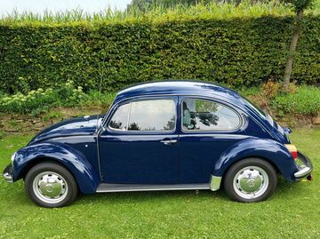 Gebrauchte VW Käfer