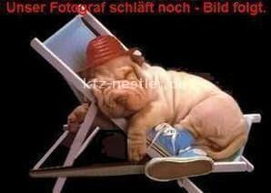 VW Touareg 47.600 km 69.950 &euro; Essen 45134