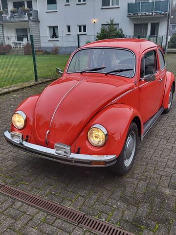 Gebrauchte VW Käfer